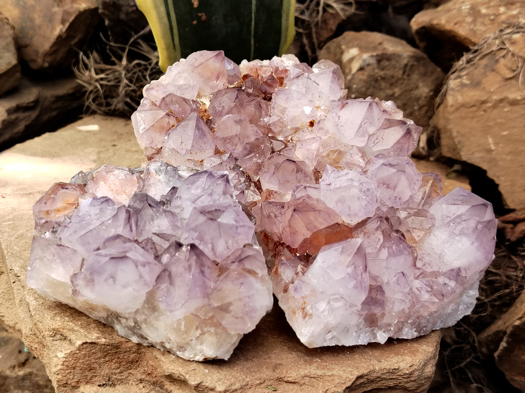 Natural Dark Purple Cactus Spirit Quartz Clusters x 3 From South Africa - Toprock Gemstones and Minerals 