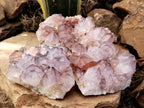 Natural Dark Purple Cactus Spirit Quartz Clusters x 3 From South Africa - Toprock Gemstones and Minerals 