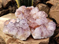 Natural Dark Purple Cactus Spirit Quartz Clusters x 3 From South Africa