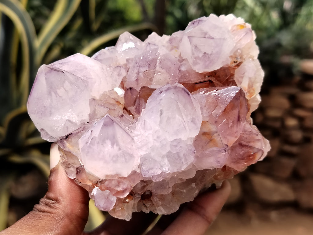 Natural Dark Purple Cactus Spirit Quartz Clusters x 3 From South Africa - Toprock Gemstones and Minerals 