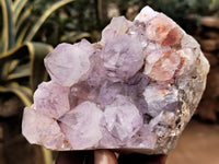 Natural Dark Purple Cactus Spirit Quartz Clusters x 3 From South Africa