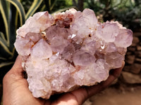 Natural Dark Purple Cactus Spirit Quartz Clusters x 3 From South Africa