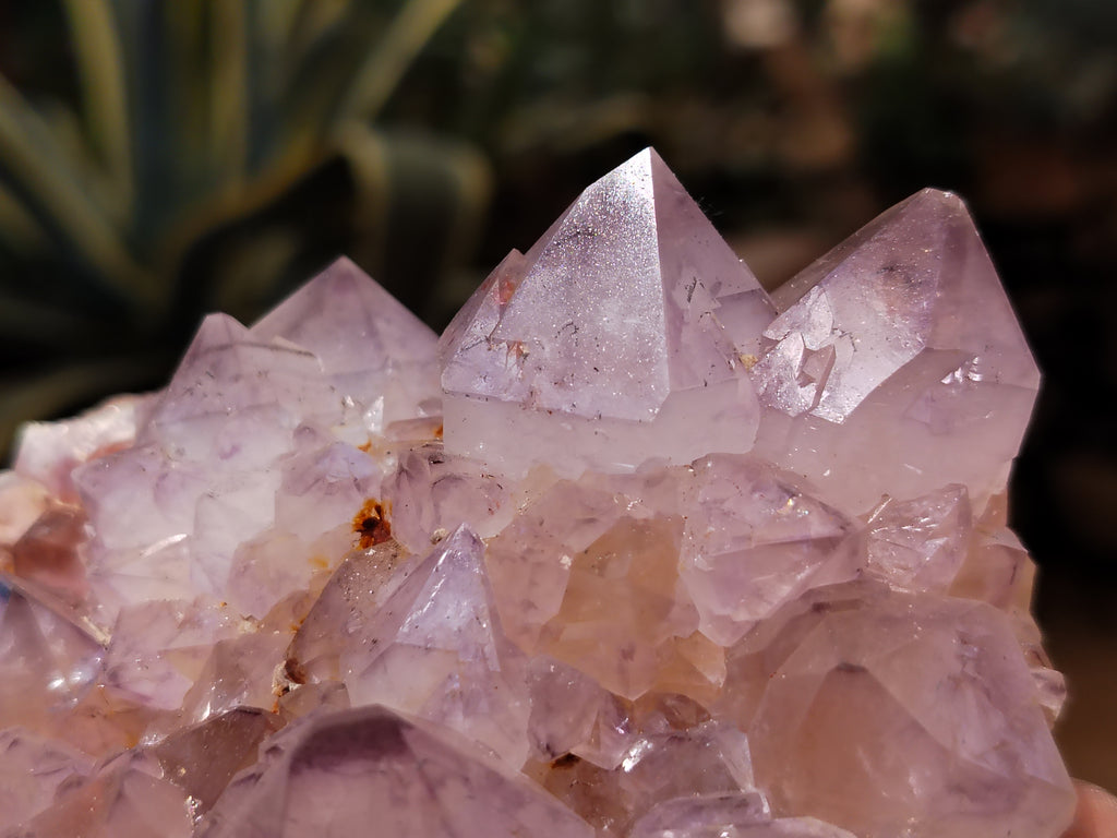 Natural Dark Purple Cactus Spirit Quartz Clusters x 3 From South Africa - Toprock Gemstones and Minerals 