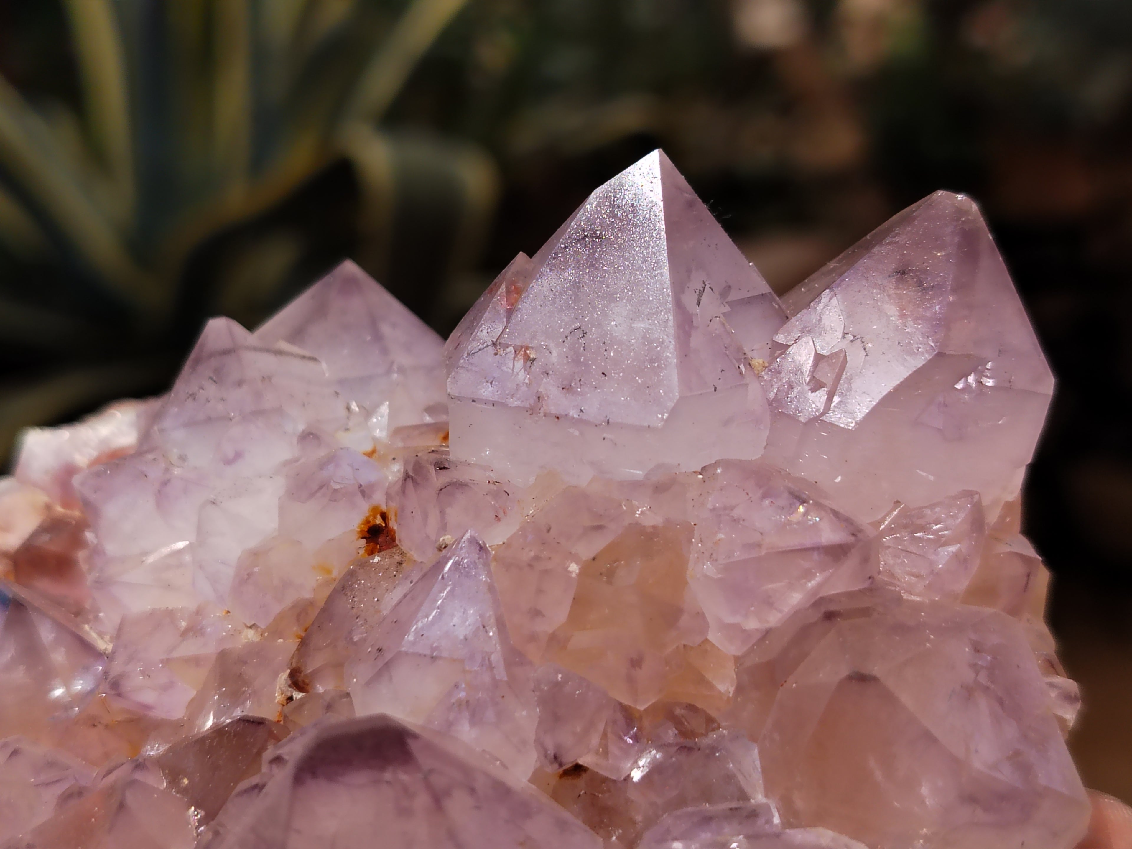 Natural Dark Purple Cactus Spirit Quartz Clusters x 3 From South Africa - Toprock Gemstones and Minerals 