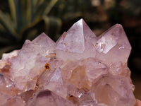 Natural Dark Purple Cactus Spirit Quartz Clusters x 3 From South Africa