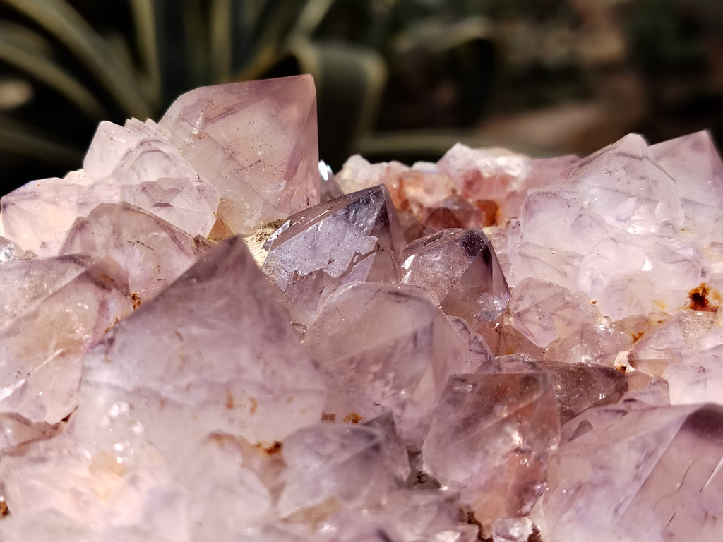 Natural Dark Purple Cactus Spirit Quartz Clusters x 3 From South Africa - Toprock Gemstones and Minerals 