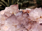 Natural Dark Purple Cactus Spirit Quartz Clusters x 3 From South Africa - Toprock Gemstones and Minerals 