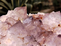 Natural Dark Purple Cactus Spirit Quartz Clusters x 3 From South Africa