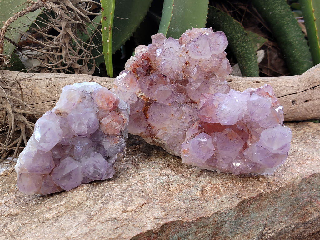 Natural Dark Purple Cactus Spirit Quartz Clusters x 3 From South Africa - Toprock Gemstones and Minerals 