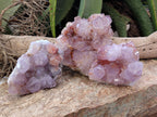 Natural Dark Purple Cactus Spirit Quartz Clusters x 3 From South Africa - Toprock Gemstones and Minerals 