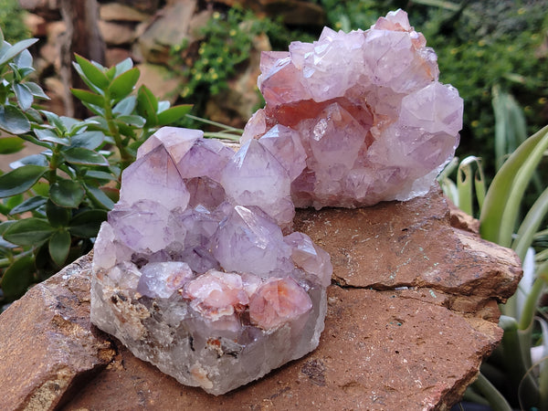 Natural Dark Purple Cactus Spirit Quartz Clusters x 3 From South Africa