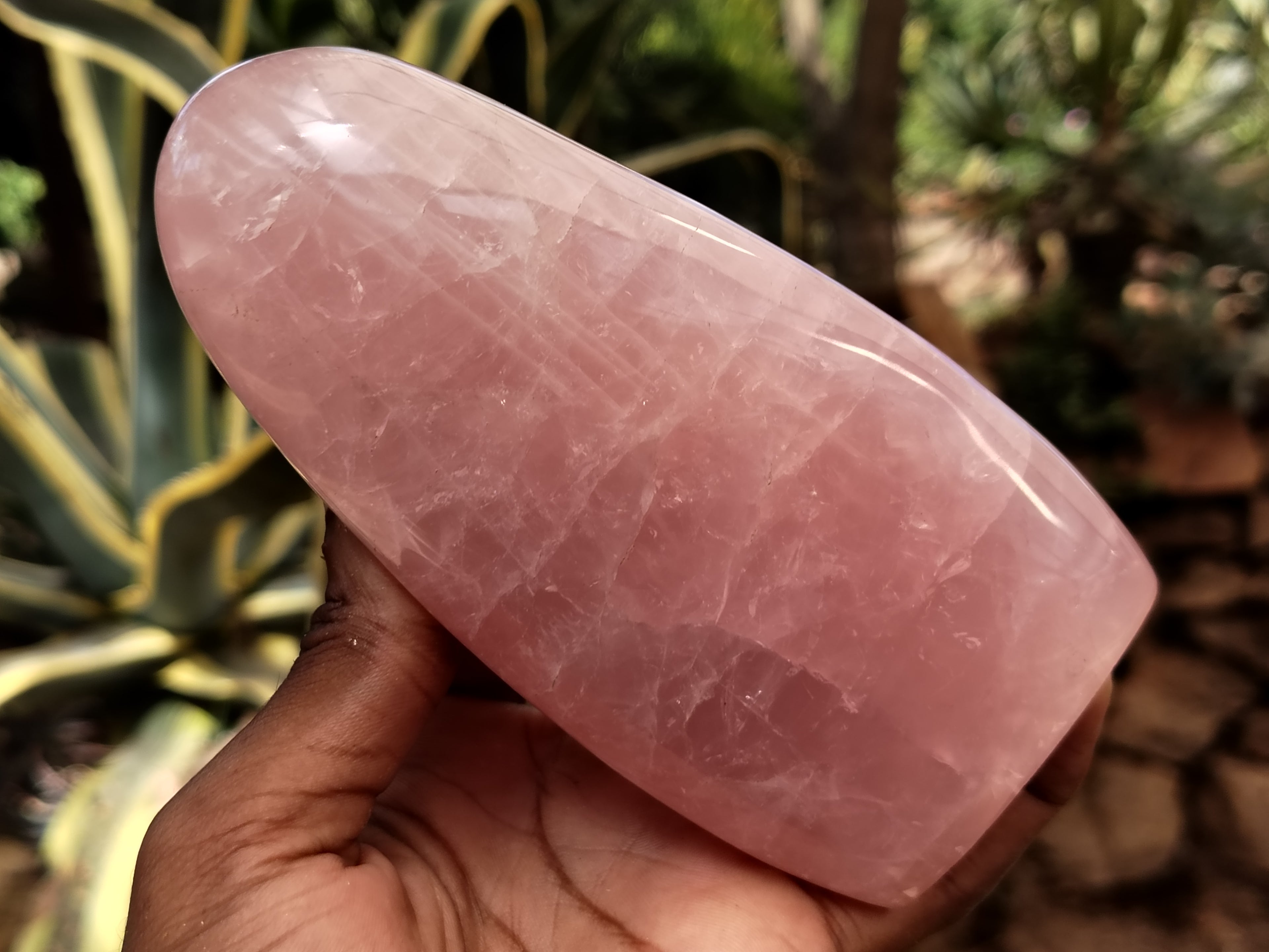 Polished Rose Quartz Standing Free Forms x 2 From Ambatondrazaka, Madagascar - Toprock Gemstones and Minerals 
