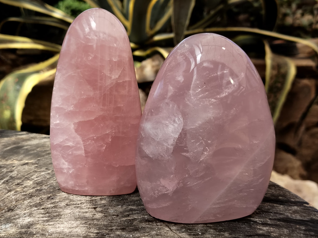 Polished Rose Quartz Standing Free Forms x 2 From Ambatondrazaka, Madagascar - Toprock Gemstones and Minerals 