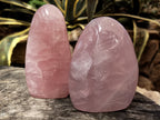 Polished Rose Quartz Standing Free Forms x 2 From Ambatondrazaka, Madagascar - Toprock Gemstones and Minerals 