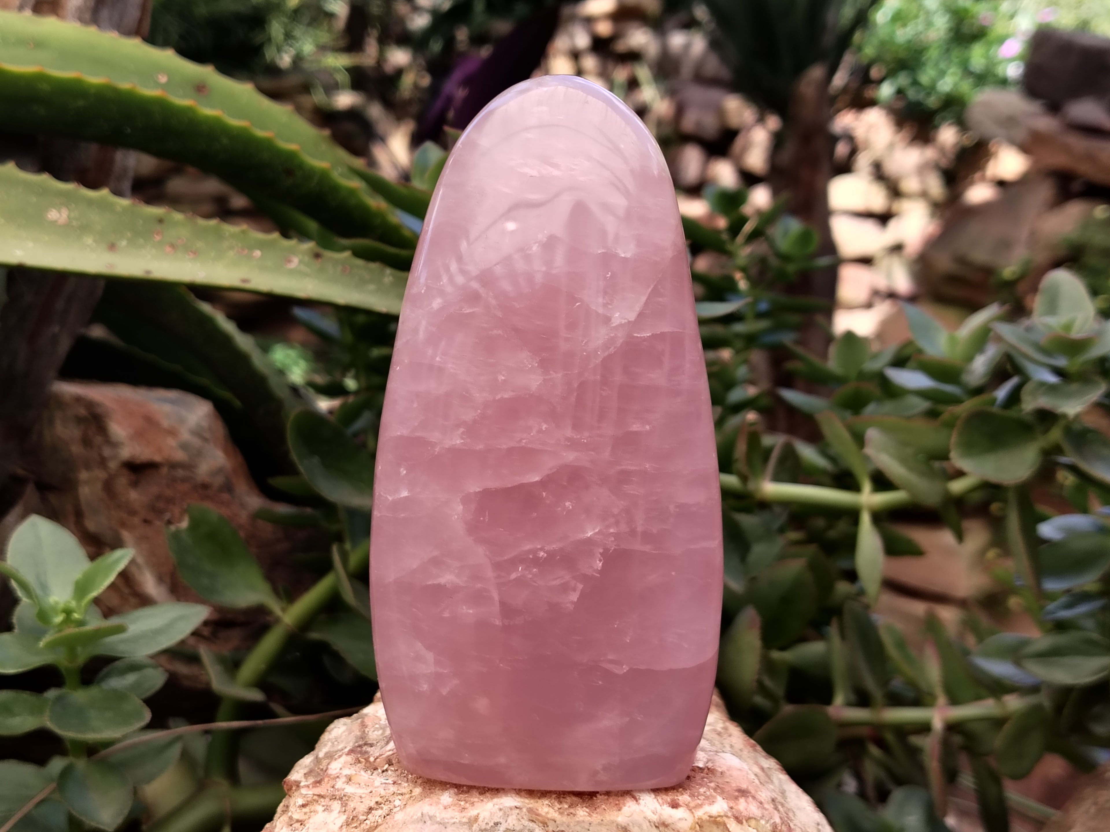 Polished Rose Quartz Standing Free Forms x 2 From Ambatondrazaka, Madagascar - Toprock Gemstones and Minerals 