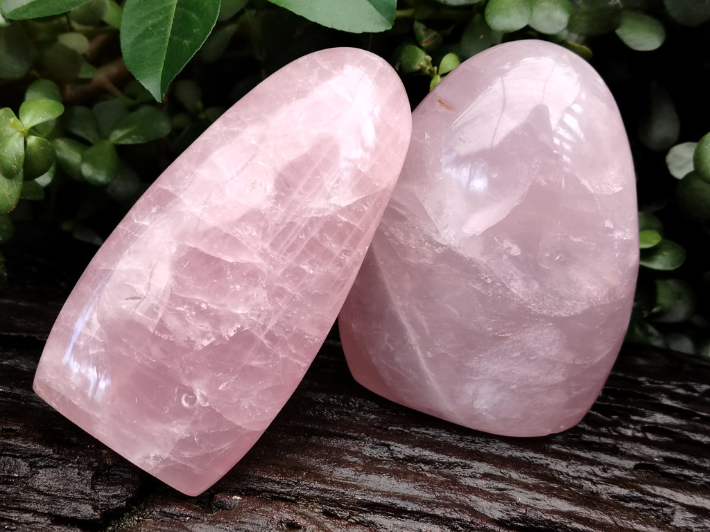 Polished Rose Quartz Standing Free Forms x 2 From Ambatondrazaka, Madagascar - Toprock Gemstones and Minerals 