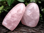 Polished Rose Quartz Standing Free Forms x 2 From Ambatondrazaka, Madagascar - Toprock Gemstones and Minerals 