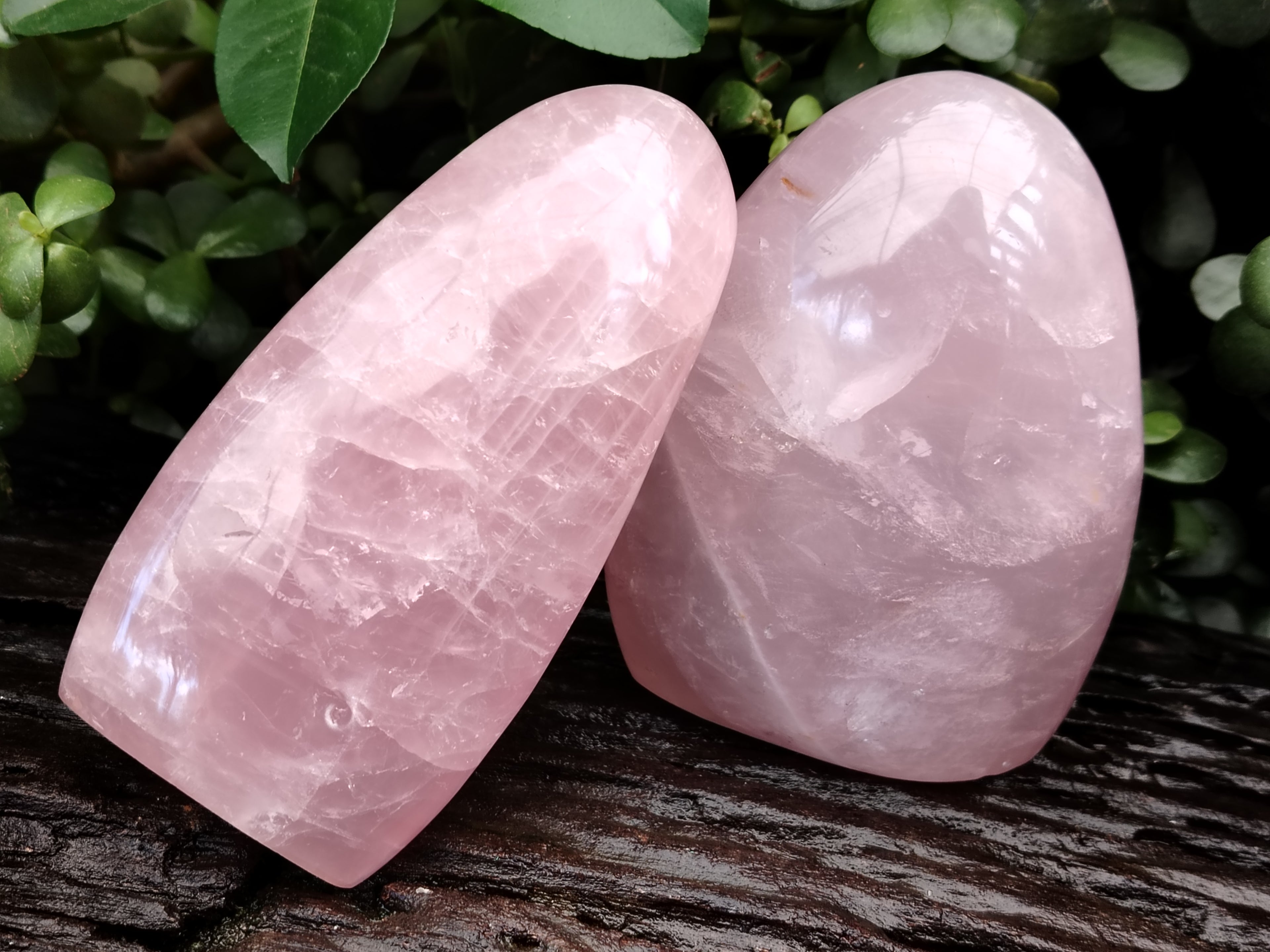 Polished Rose Quartz Standing Free Forms x 2 From Ambatondrazaka, Madagascar - Toprock Gemstones and Minerals 