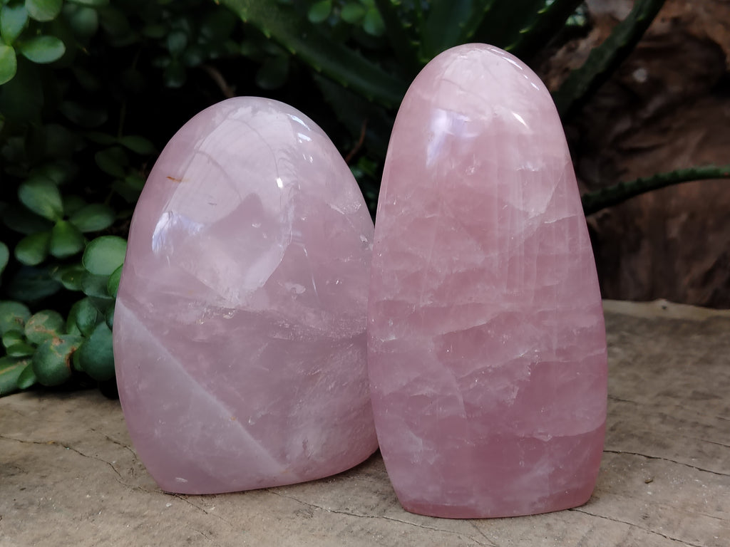 Polished Rose Quartz Standing Free Forms x 2 From Ambatondrazaka, Madagascar - Toprock Gemstones and Minerals 