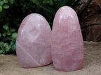 Polished Rose Quartz Standing Free Forms x 2 From Ambatondrazaka, Madagascar - Toprock Gemstones and Minerals 