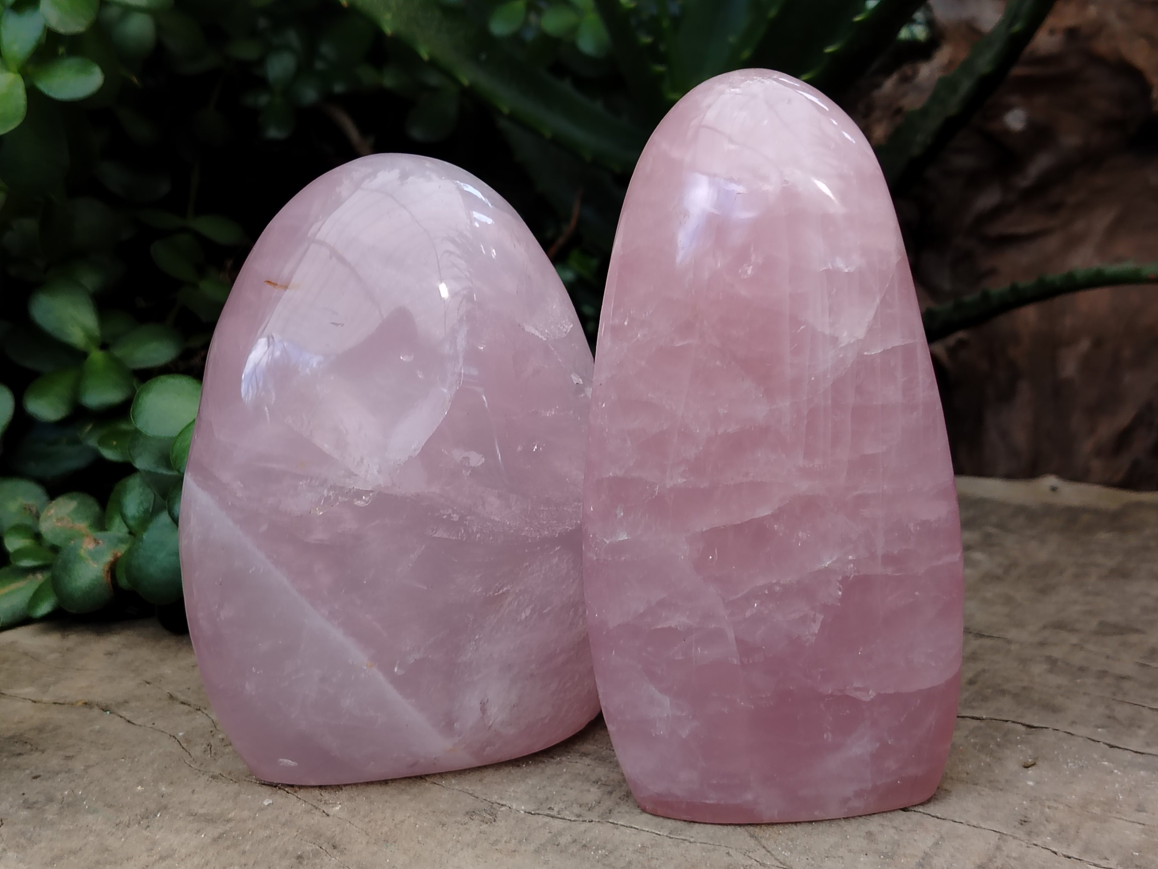Polished Rose Quartz Standing Free Forms x 2 From Ambatondrazaka, Madagascar - Toprock Gemstones and Minerals 