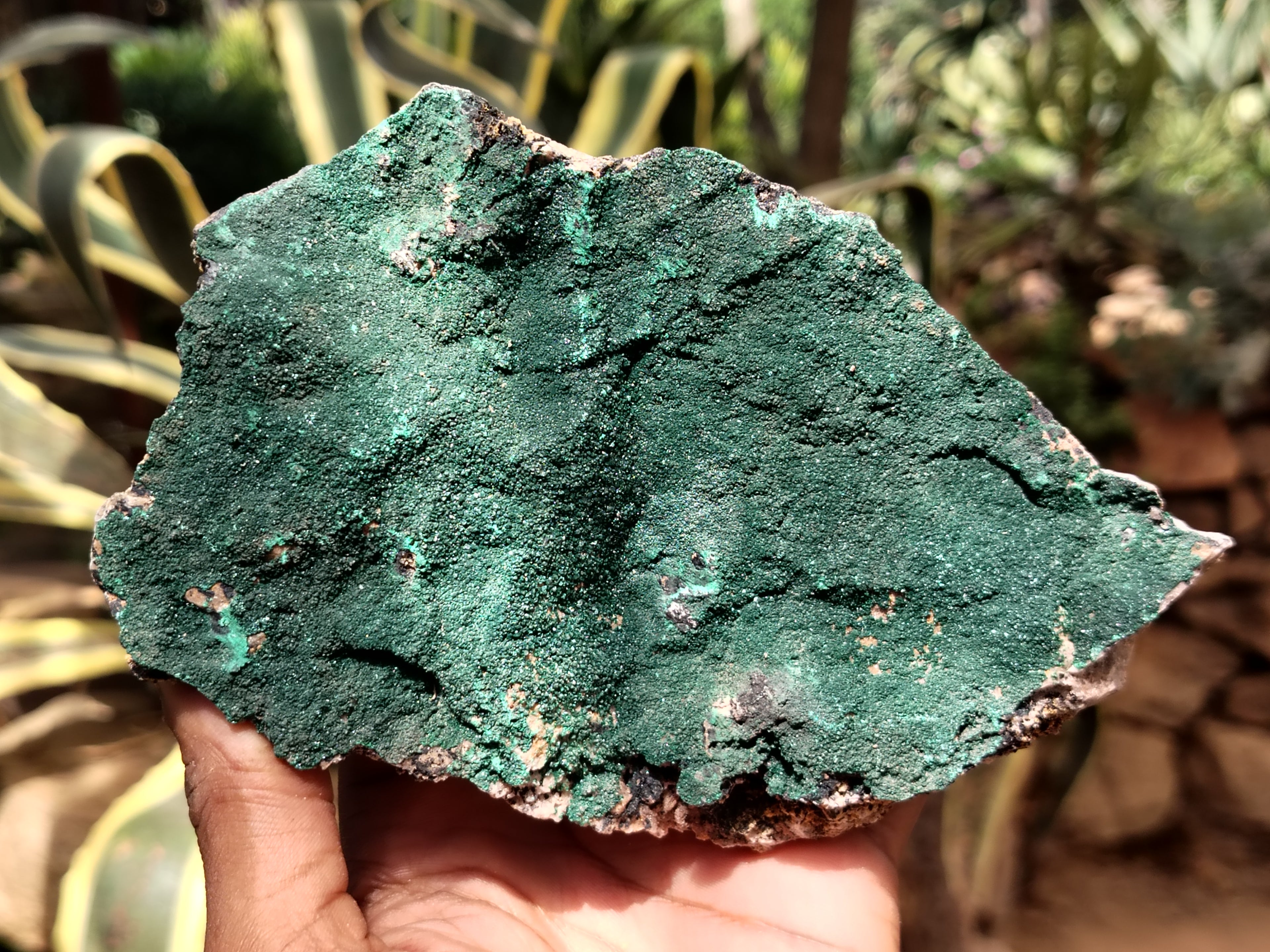 Natural Botryoidal Malachite Specimens x 3 From Tenke Fungurume, Congo - Toprock Gemstones and Minerals 