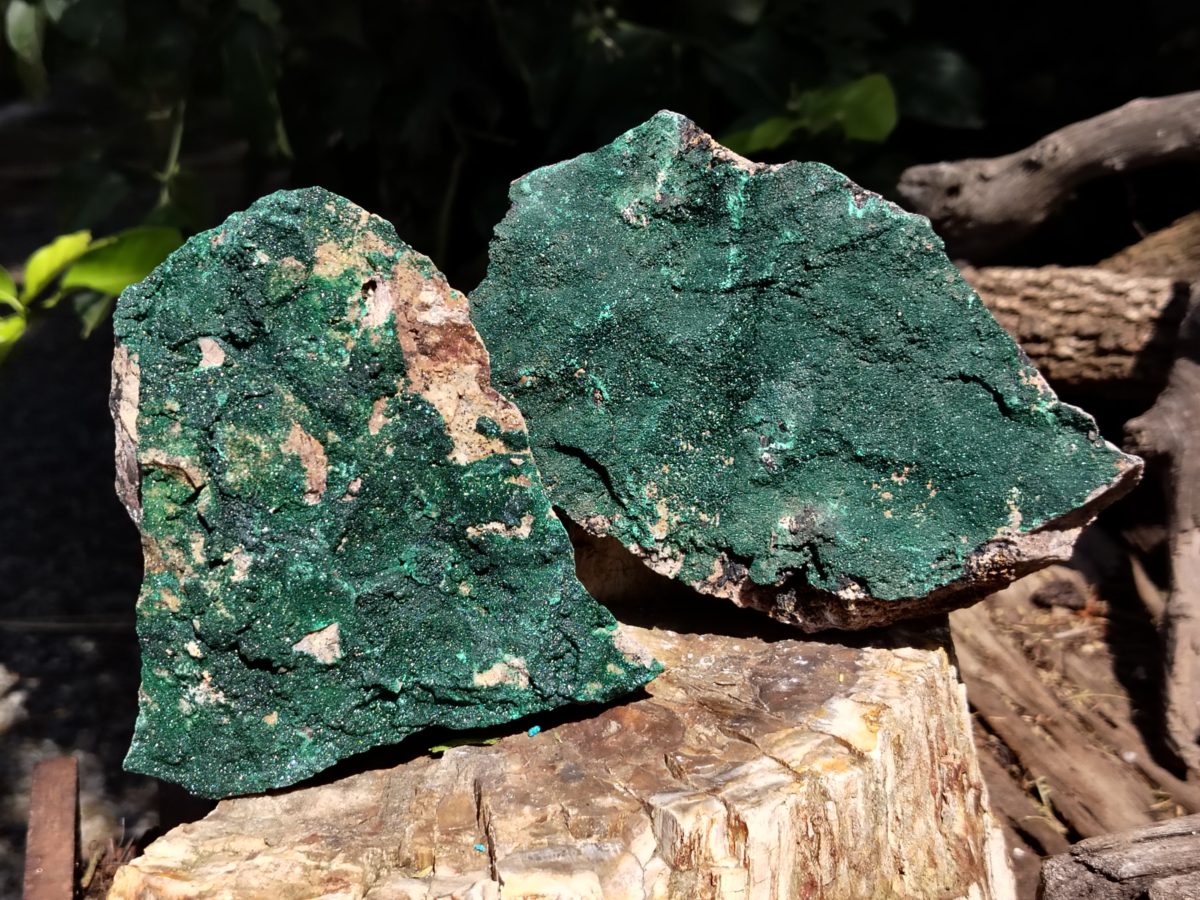 Natural Botryoidal Malachite Specimens x 3 From Tenke Fungurume, Congo - Toprock Gemstones and Minerals 