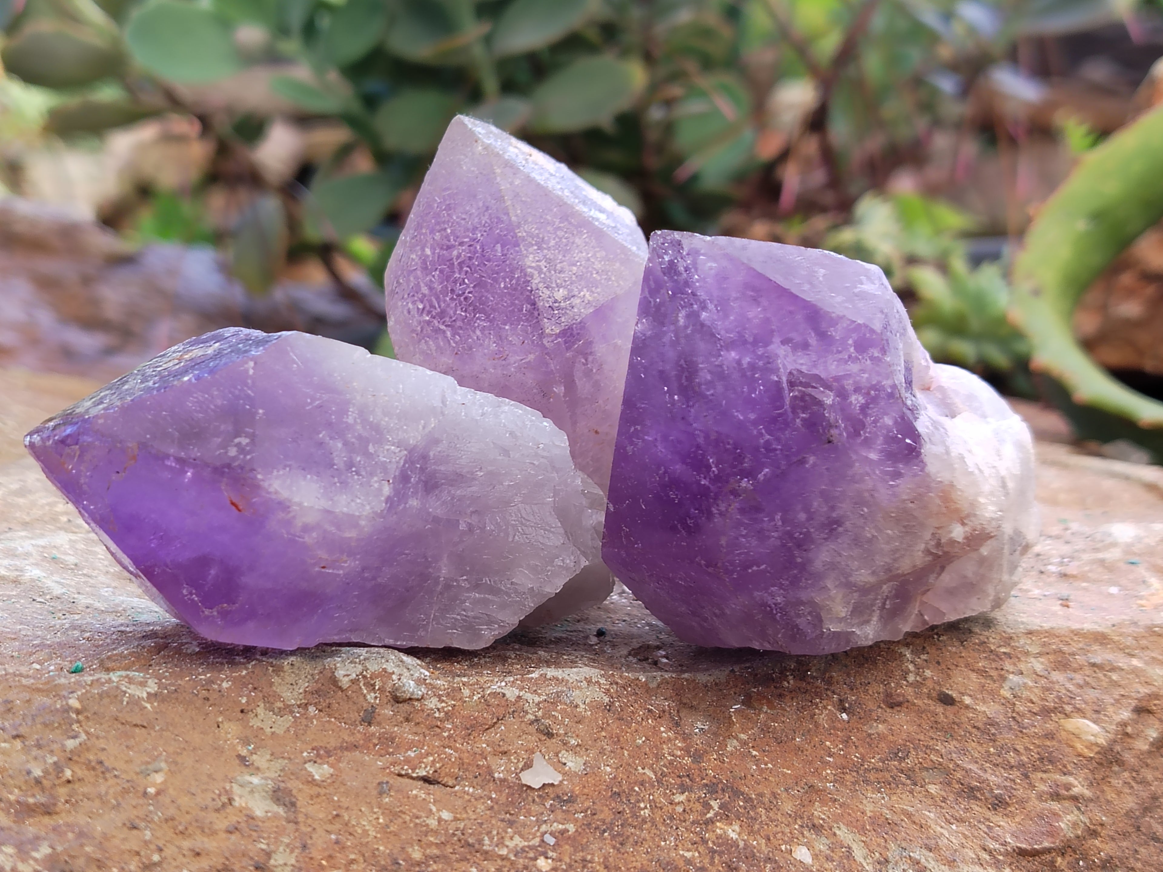 Natural Jacaranda Amethyst Single Quartz Crystals x 12 From Mumbwa, Zambia - Toprock Gemstones and Minerals 