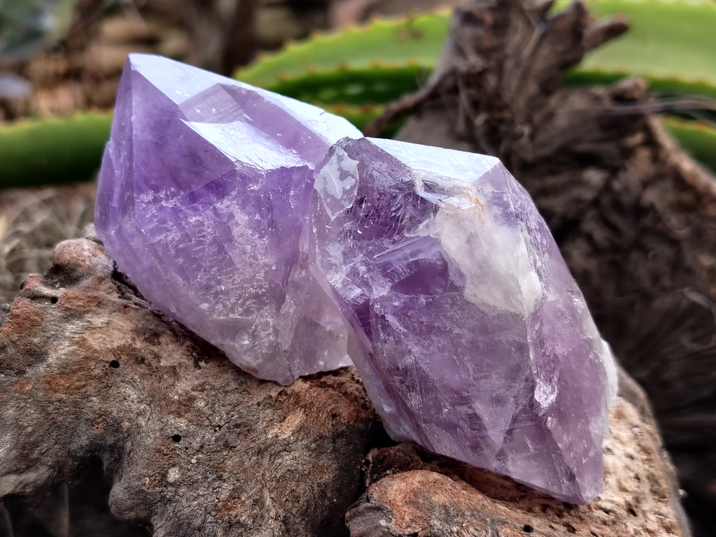 Natural Jacaranda Amethyst Single Quartz Crystals x 12 From Mumbwa, Zambia - Toprock Gemstones and Minerals 