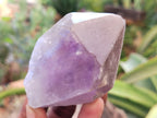 Natural Jacaranda Amethyst Single Quartz Crystals x 12 From Mumbwa, Zambia - Toprock Gemstones and Minerals 