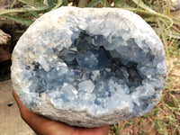 Natural Celestite Geode Specimen x 1 From Sakoany, Madagascar - Toprock Gemstones and Minerals 