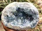Natural Celestite Geode Specimen x 1 From Sakoany, Madagascar - Toprock Gemstones and Minerals 