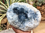 Natural Celestite Geode Specimen x 1 From Sakoany, Madagascar - Toprock Gemstones and Minerals 