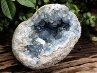 Natural Celestite Geode Specimen x 1 From Sakoany, Madagascar - Toprock Gemstones and Minerals 