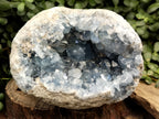 Natural Celestite Geode Specimen x 1 From Sakoany, Madagascar - Toprock Gemstones and Minerals 