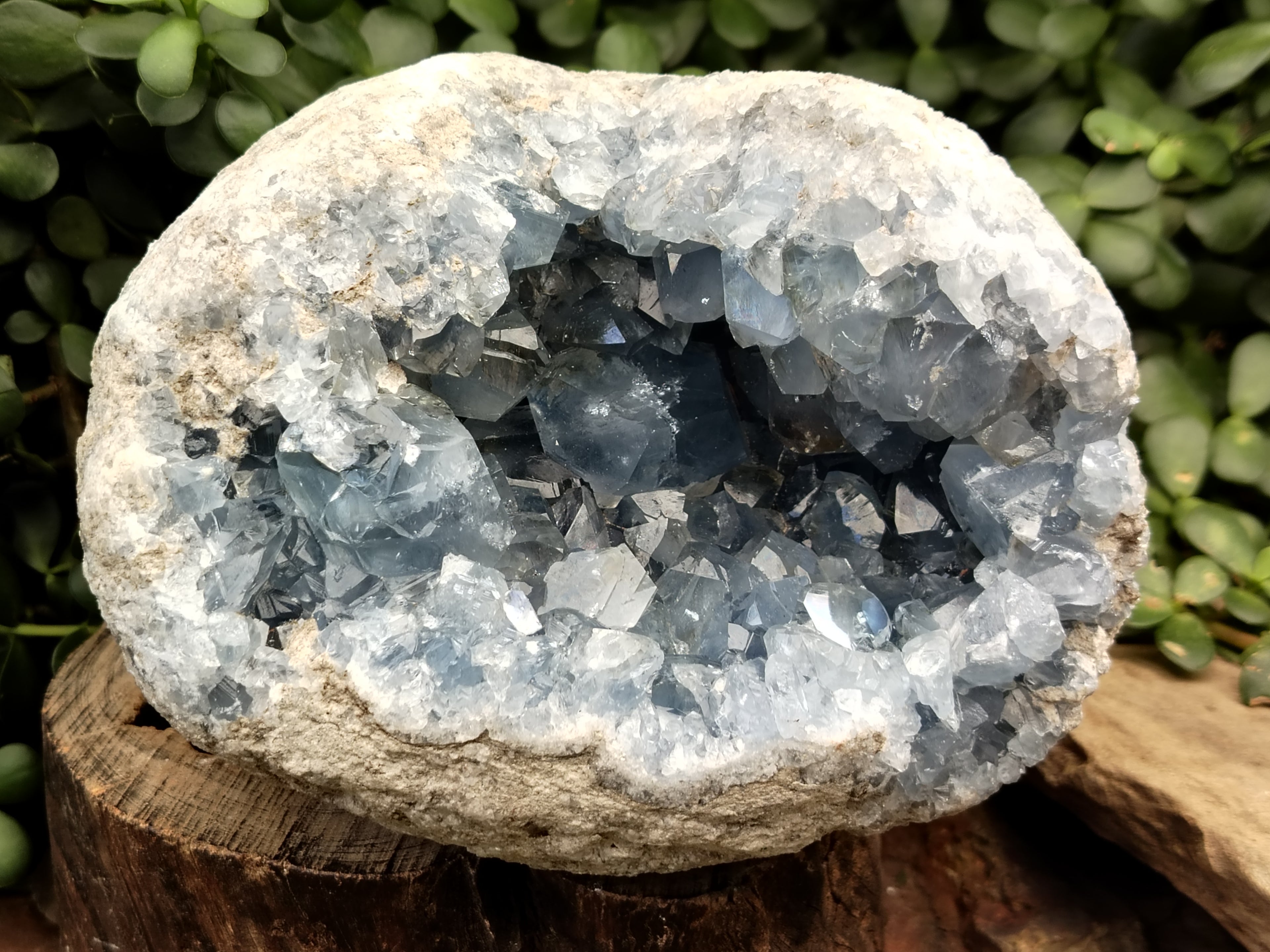 Natural Celestite Geode Specimen x 1 From Sakoany, Madagascar - Toprock Gemstones and Minerals 