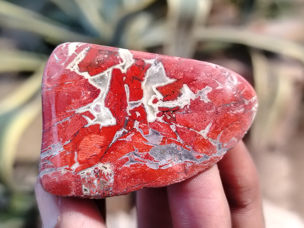 Polished Brecciated Jasper Free Forms x 34 From South Africa - Toprock Gemstones and Minerals 