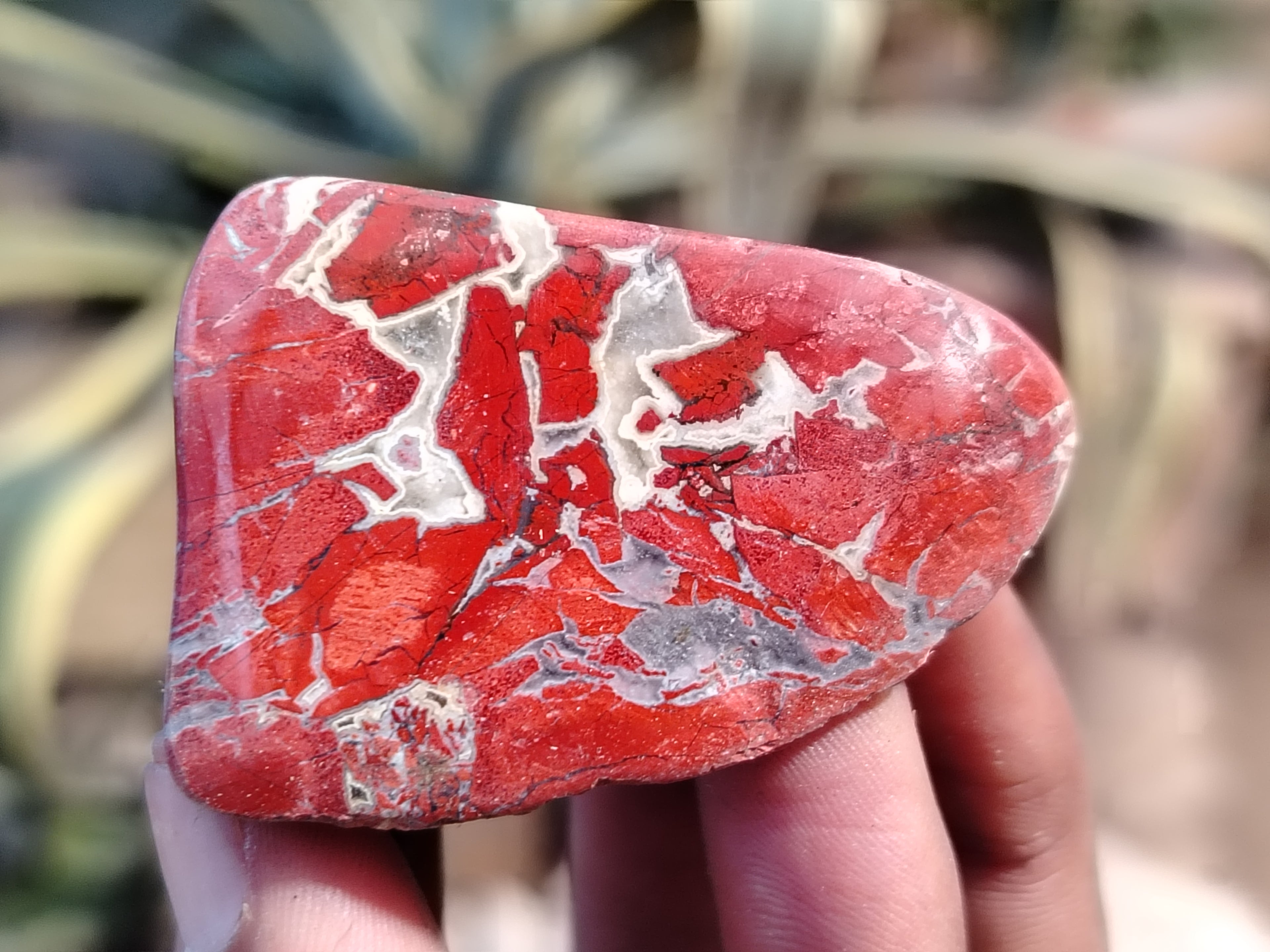 Polished Brecciated Jasper Free Forms x 34 From South Africa - Toprock Gemstones and Minerals 