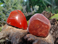 Polished Brecciated Jasper Free Forms x 34 From South Africa