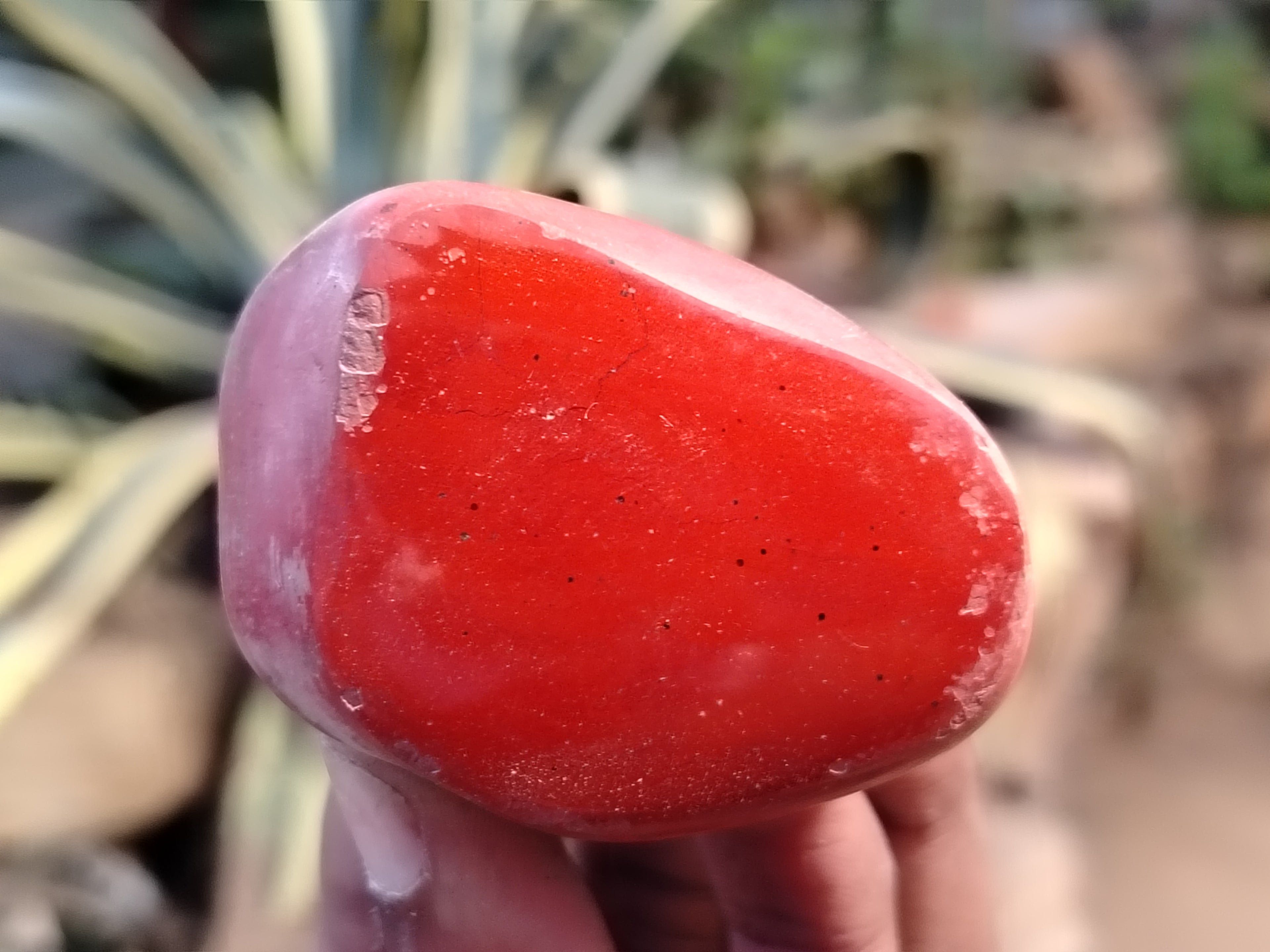 Polished Brecciated Jasper Free Forms x 34 From South Africa - Toprock Gemstones and Minerals 