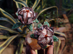 Hand Made Gemstone Protea Flower Trees x 3 From South Africa - Toprock Gemstones and Minerals 