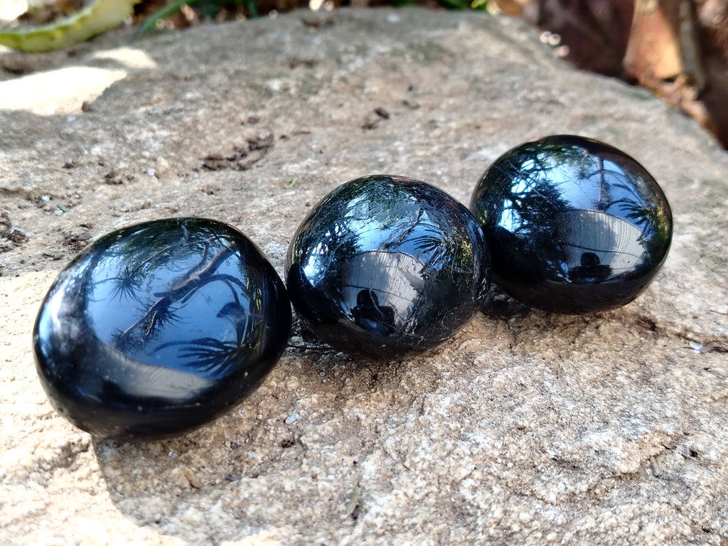 Polished Black Tourmaline Standing Free Form x 19 From Madagascar - Toprock Gemstones and Minerals 