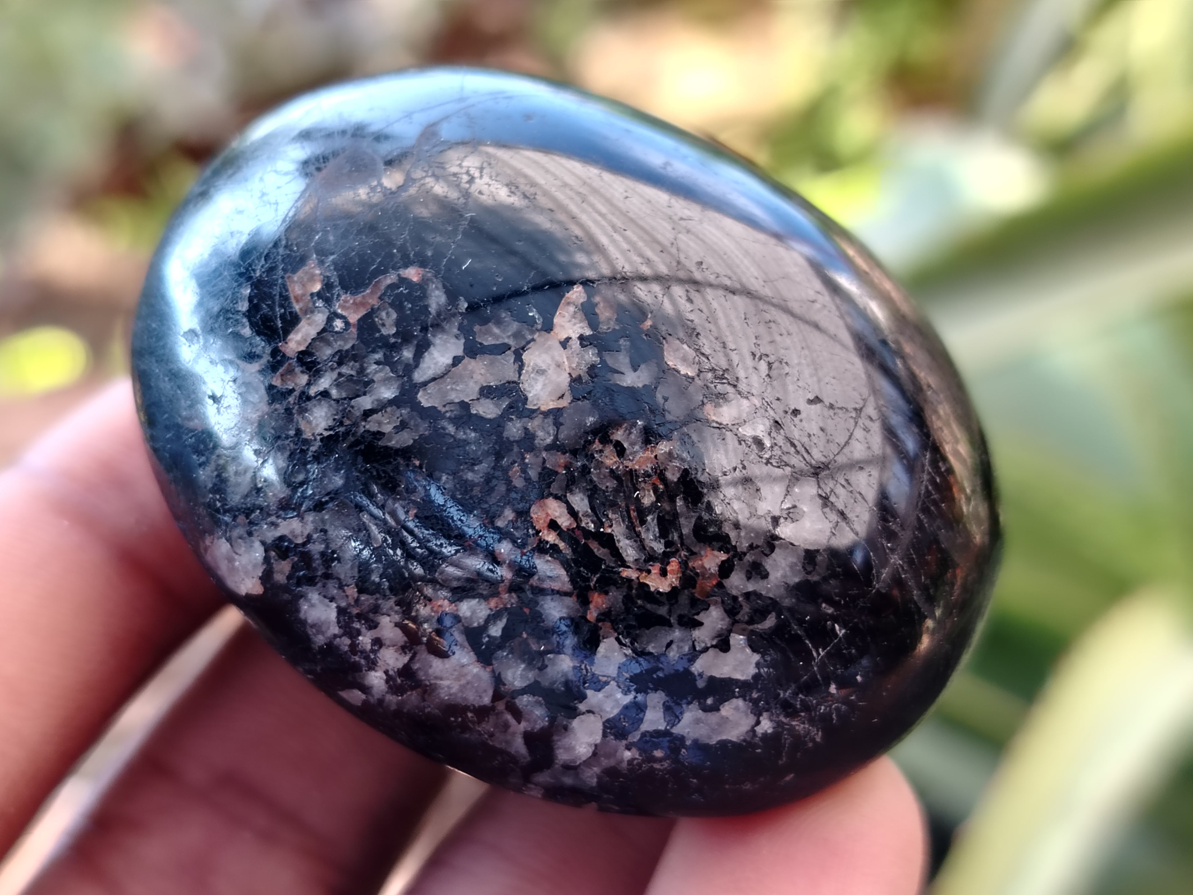 Polished Black Tourmaline Standing Free Form x 19 From Madagascar - Toprock Gemstones and Minerals 