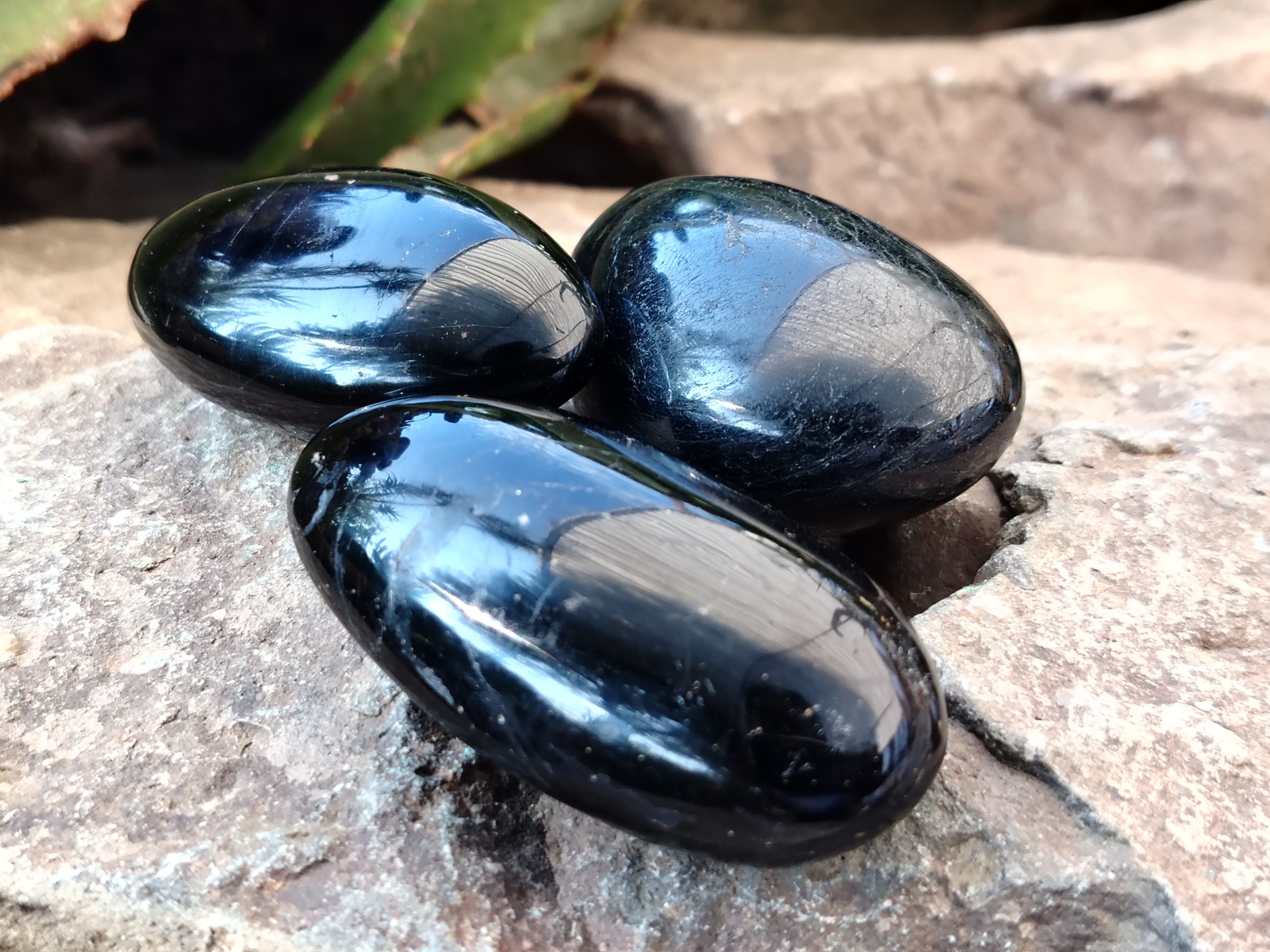 Polished Black Tourmaline Standing Free Form x 19 From Madagascar - Toprock Gemstones and Minerals 