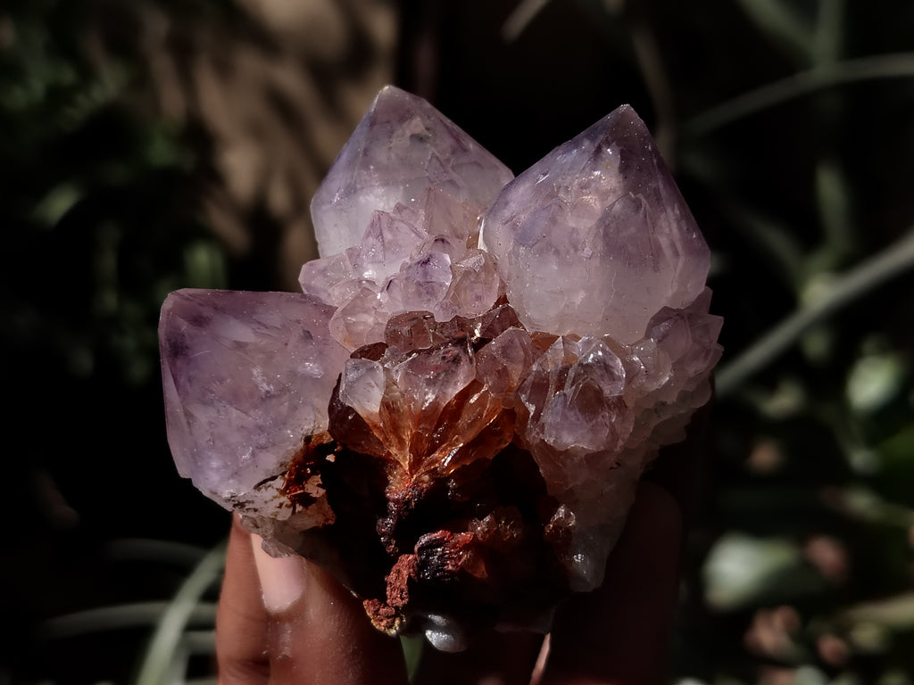 Natural Dark Amethyst Spirit Quartz Clusters x 12 From Boekenhouthoek, South Africa - Toprock Gemstones and Minerals 