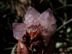 Natural Dark Amethyst Spirit Quartz Clusters x 12 From Boekenhouthoek, South Africa - Toprock Gemstones and Minerals 
