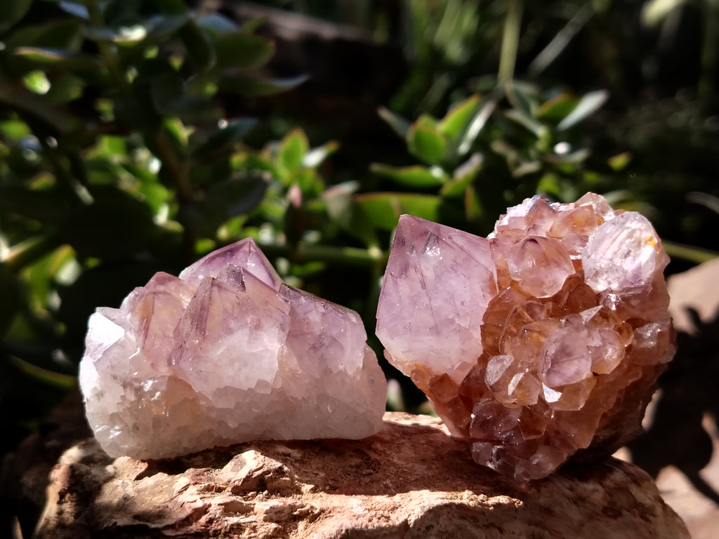 Natural Dark Amethyst Spirit Quartz Clusters x 12 From Boekenhouthoek, South Africa - Toprock Gemstones and Minerals 