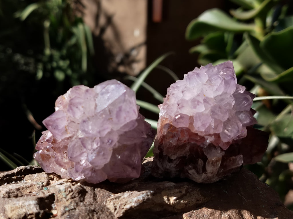 Natural Dark Amethyst Spirit Quartz Clusters x 12 From Boekenhouthoek, South Africa - Toprock Gemstones and Minerals 