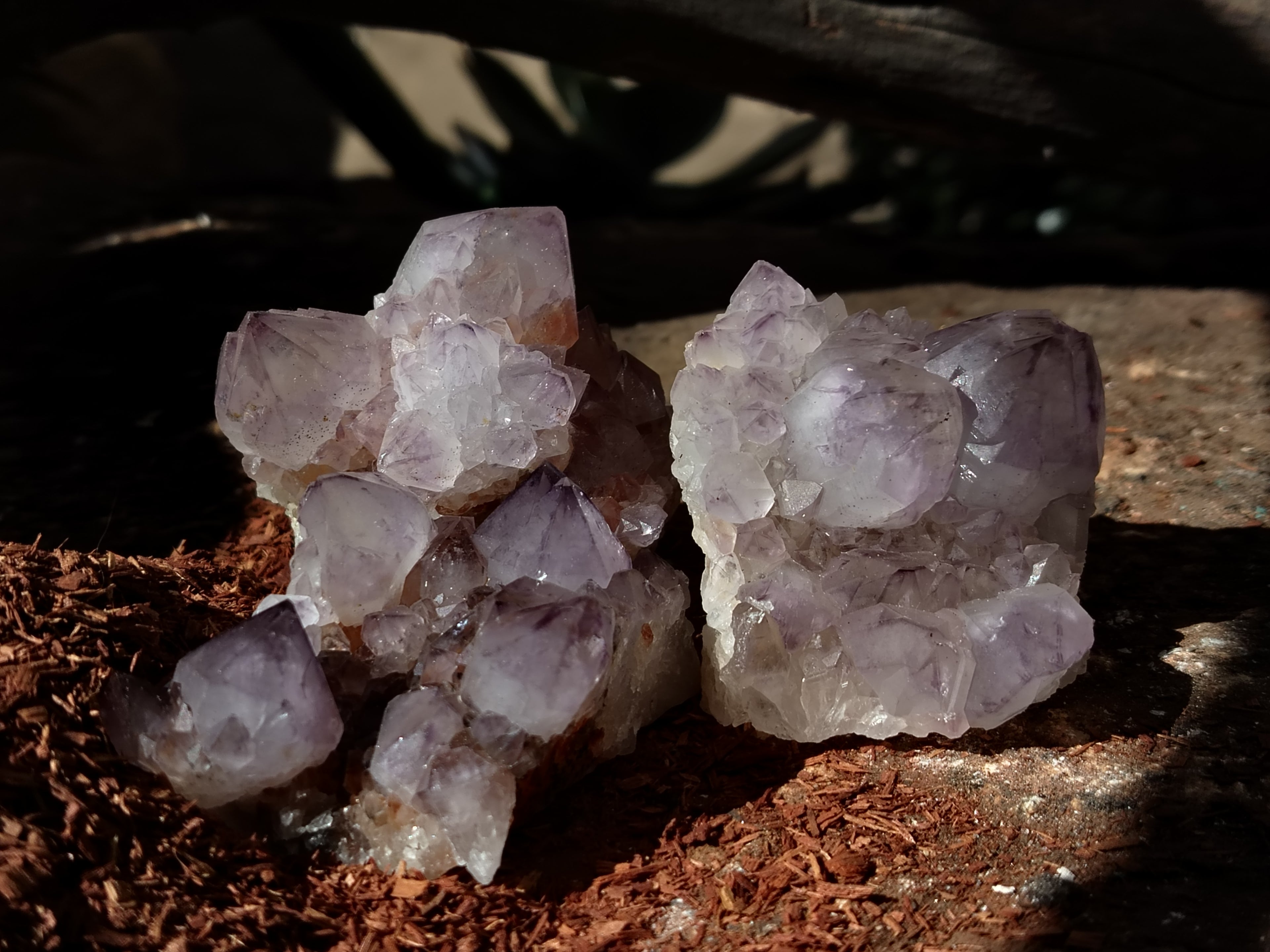 Natural Dark Amethyst Spirit Quartz Clusters x 12 From Boekenhouthoek, South Africa - Toprock Gemstones and Minerals 