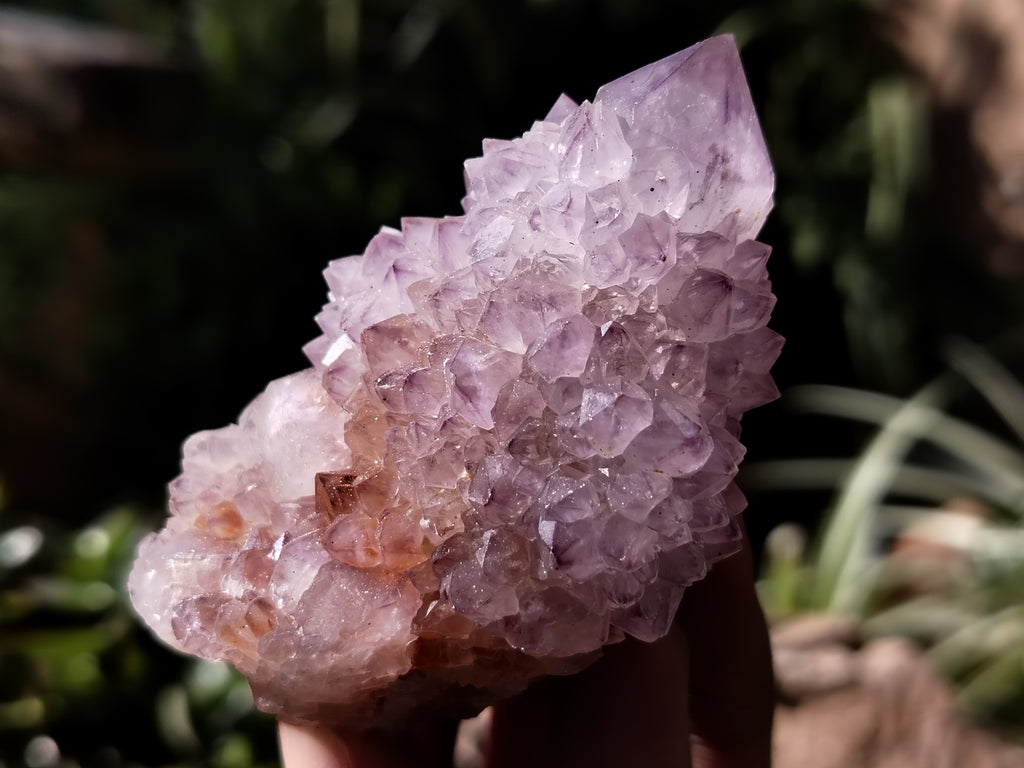 Natural Dark Amethyst Spirit Quartz Clusters x 12 From Boekenhouthoek, South Africa - Toprock Gemstones and Minerals 